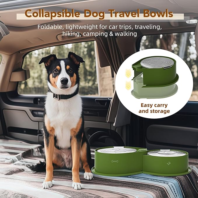 Stainless Steel Dog Bowl Set with Lids, 304 Metal Dual Food & Water Bowls for Dogs & Cats, Large