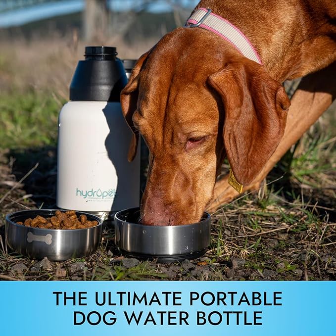 Hydropet Portable Dog Water Bottle (32 oz) - Insulated Dogs & Cats Travel Bottles, Stainless Steel
