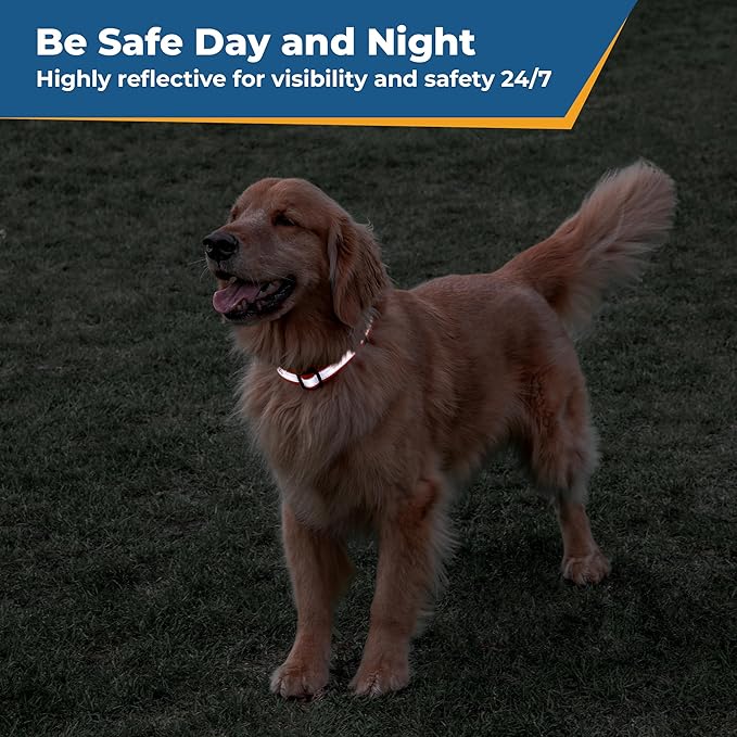 GoTags Reflective Personalized Dog Collar, Custom Embroidered with Pet Name and Phone Number in
