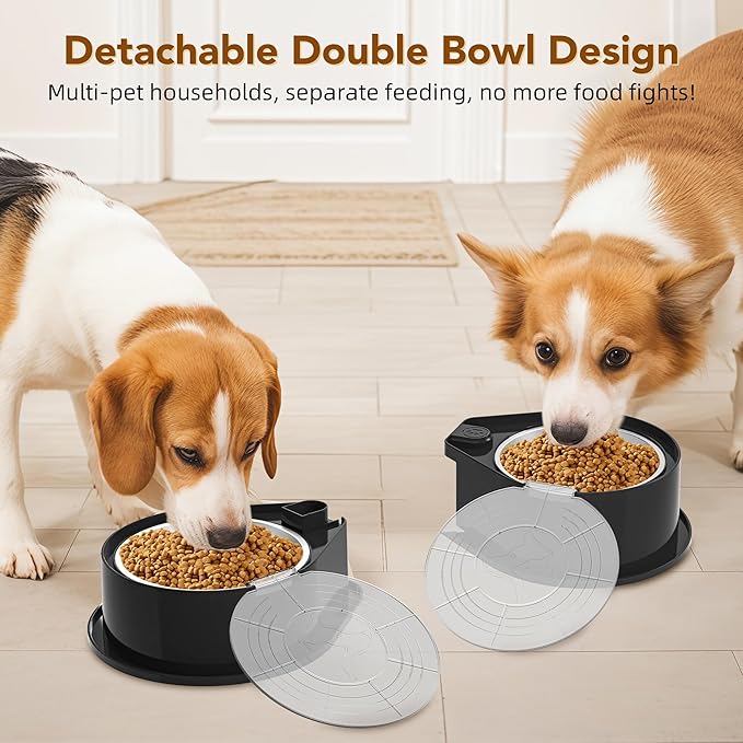 Stainless Steel Dog Bowl Set with Lids, 304 Metal Dual Food & Water Bowls for Dogs & Cats, Foldable
