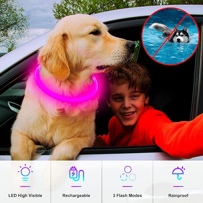 Light Up Dog Collar, USB Rechargeable Dlitk LED Dog Collar 1 Count, TPU Cuttable Glow Collar for