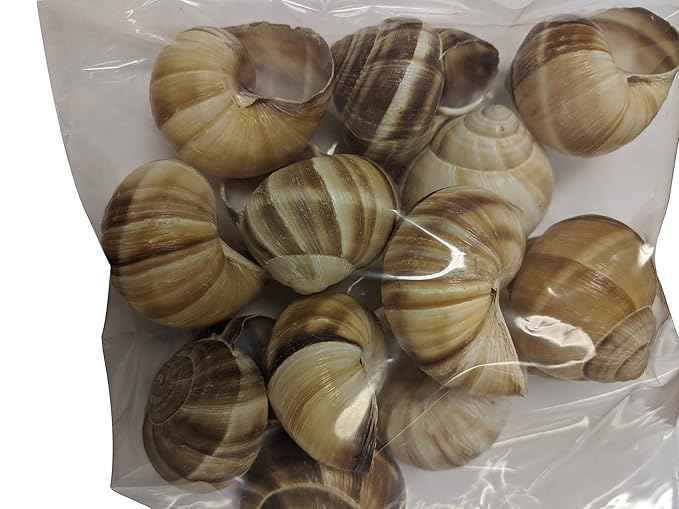 Premium Escargot Wild Burgundy Snails ??Rated Number One ??Best For Escargot Recipes, Various Sizes