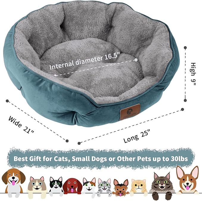Asvin Medium Dog Bed for Medium Dogs, Cat Beds for Indoor Cats, Pet Bed for Puppy and Kitty, Extra
