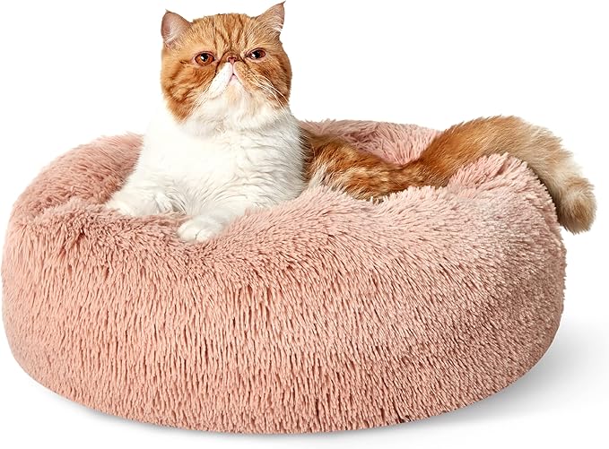 Bedsure Calming Cat Beds for Indoor Cats - Small Cat Bed Washable 20 inches, Anti-Slip Round Fluffy