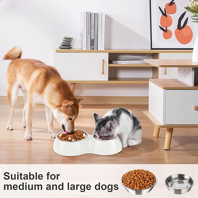 Elevated Dog Bowls Set - Non-Slip Raised Pet Feeder with Medium (10 oz) & Large (20 oz) Stainless