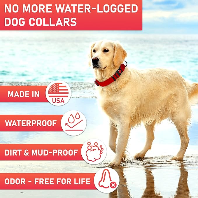 Adjustable Dog Collar with QR Code Dog Tag ID Attached - Made in USA - Honeycomb Waterproof Heavy