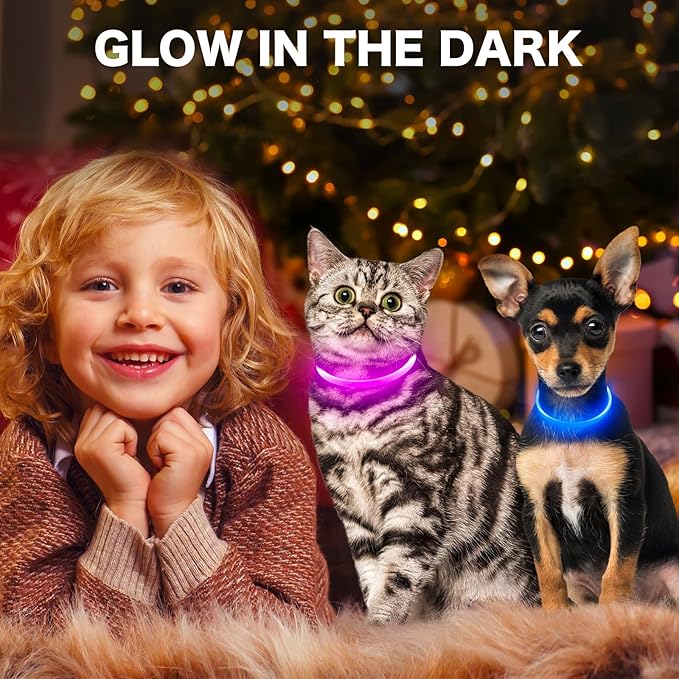 BSEEN Light Up Dog Collar, High Visibility LED Dog Collar Rechargeable- Rainproof TPU Cuttable