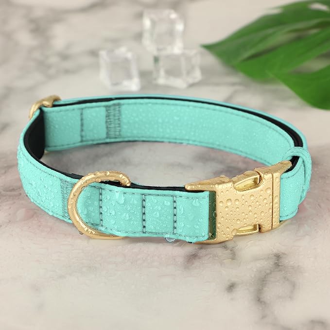 Didog Soft Padded Dog Collars for Small Dogs, Colorful and Durable Dog Collar with Quick Release