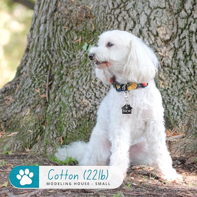 Ultra Joys Dog Tags Personalized for Pets - Hollow Paw Custom Pet ID Tag - Engraved Dog Tag for