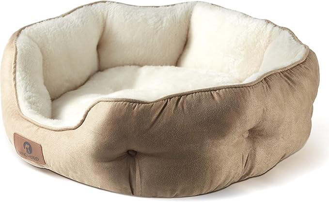 Asvin Medium Dog Bed for Medium Dogs, Cat Beds for Indoor Cats, Pet Bed for Puppy and Kitty, Extra