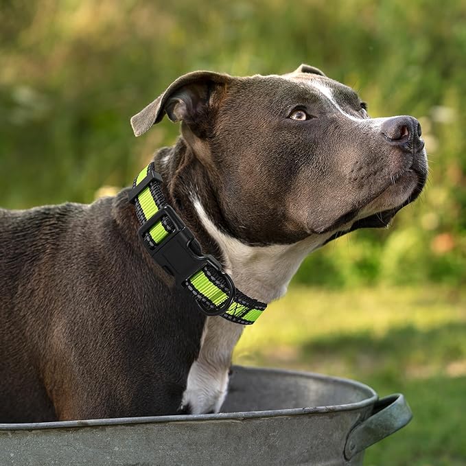 Mile High Life Dog Collar | Nylon Reflective Dog Collars | Light Weight Puppy Collars | Lime Green