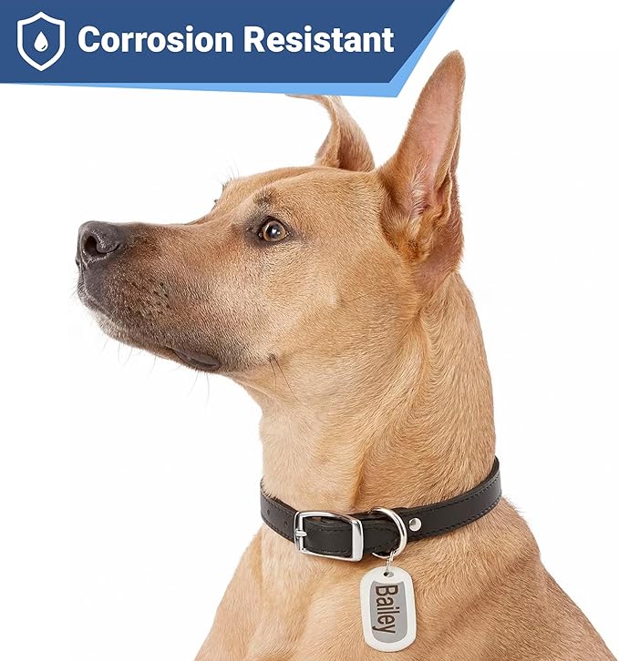 GoTags Stainless Steel Pet ID Tags, Personalized Dog Tags and Cat Tags, up to 8 Lines of Custom