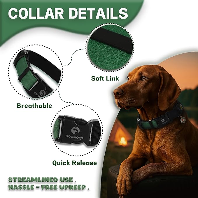 DOGWONG LED Dog Collar - Heavy Duty Light up Collars - Rechargeable Waterproof - Lighted Dog Collar