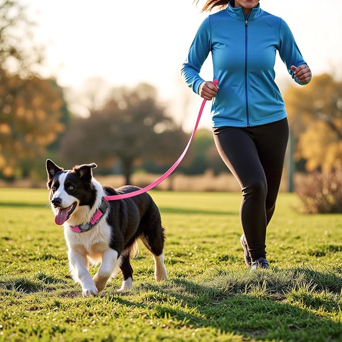 AirTag Dog Collar and Leash, IP68 Waterproof Integrated with Reflective, Ultra-Durable, Comfortable