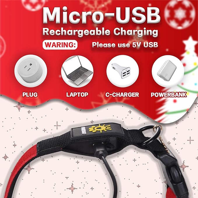 DOGWONG LED Dog Collar - Heavy Duty Light up Collars - Rechargeable Waterproof - Lighted Dog Collar
