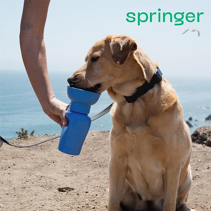 Springer Flip Portable Dog Water Bottle with Foldable Food Grade Silicone Bowl - 20 Ounce Travel