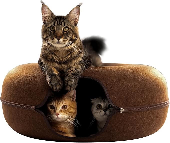 CATTASAURUS Peekaboo Cat Cave for Multiple & Large Cats Up to 30-45 Lbs, Scratch Detachable &