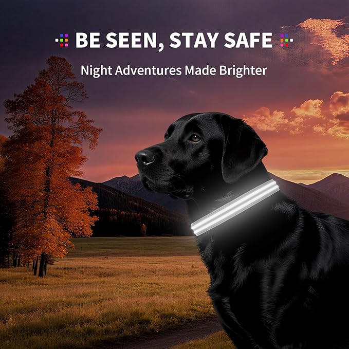 LED Dog Collar with Metal Buckle - USB Rechargeable Glow Collar for Dogs, Waterproof Light Up Dog