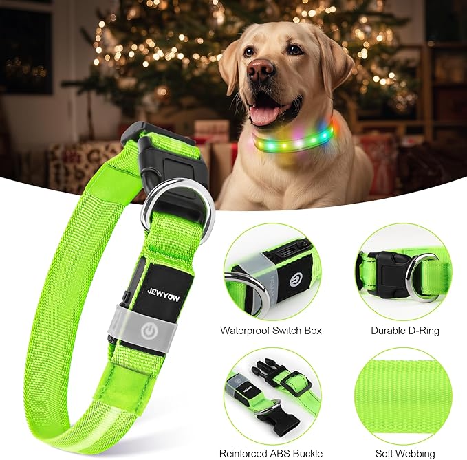 LED Dog Collar, Light Up Dog Collar, USB Rechargeable - Brightest Dog Lights for Night Walking, 6