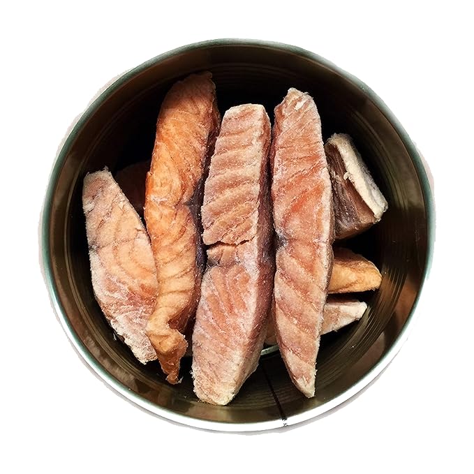 Military Surplus Freeze Dried Salmon Fillets Uncooked 16 Oz Long Shelf Life Emergency Survival Food