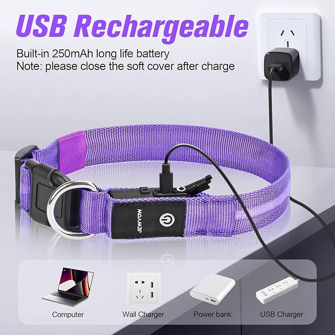 LED Dog Collar, Light Up Dog Collar, USB Rechargeable - Brightest Dog Lights for Night Walking, 6