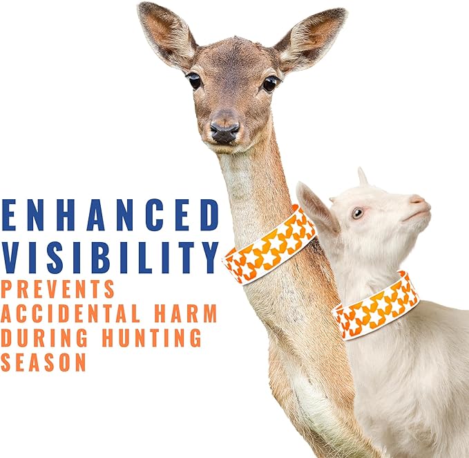 SafetyPUP XD Reflective Dog Collar ??Blaze Orange Dog Collar, Adjustable Closure for a High