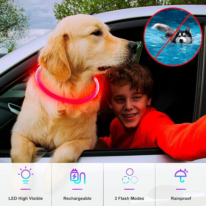 Light Up Dog Collar, Dlitk Rechargeable Cuttable LED Dog Collars, Pet Safety Light at Night Walking