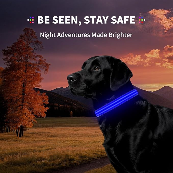 LED Dog Collar with Metal Buckle - USB Rechargeable Glow Collar for Dogs, Waterproof Light Up Dog