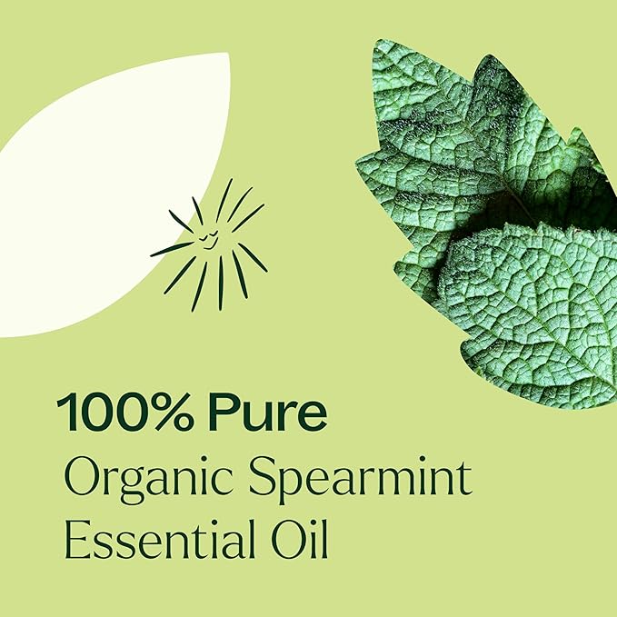 Plant Therapy USDA Certified Organic Spearmint Essential Oil 10 mL (1/3 oz) 100% Pure, Undiluted