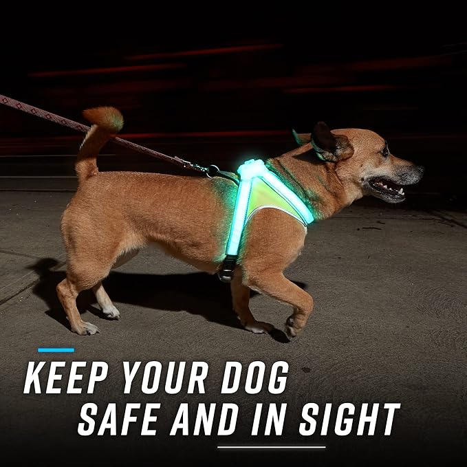 Noxgear LightHound ??Revolutionary Illuminated and Reflective Harness for Dogs Including