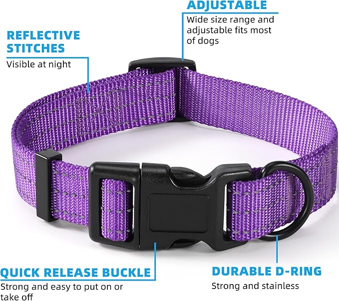 Mile High Life Dog Collar | Nylon Reflective Dog Collars | Light Weight Puppy Collars | Purple Dog