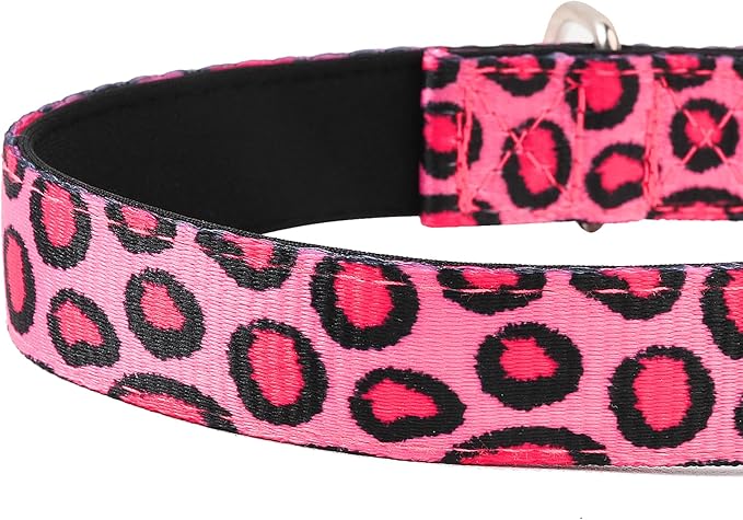 Reflective Dog Collar, Adjustable Soft Neoprene Padded Nylon Pet Collars with Buckle for Puppy and