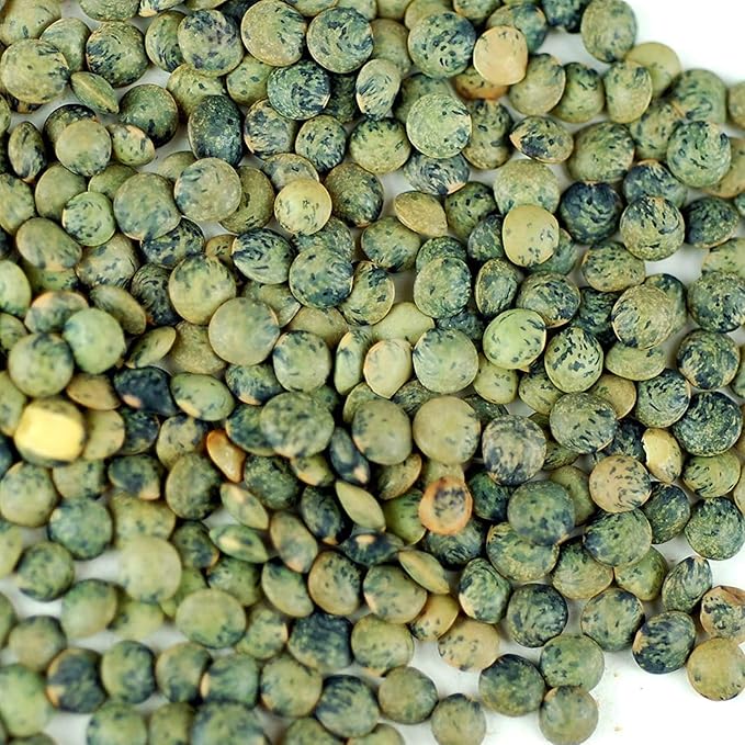 Organic French Lentil Sprouting Seeds - 1 Lb - French Lentils - Perfect for Edible Seeds