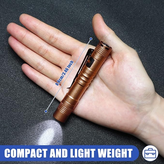 Hortsun 10 Pcs Mini Flashlight Bulk LED Pen with Pocket Small Flashlight with Clip for Outdoor