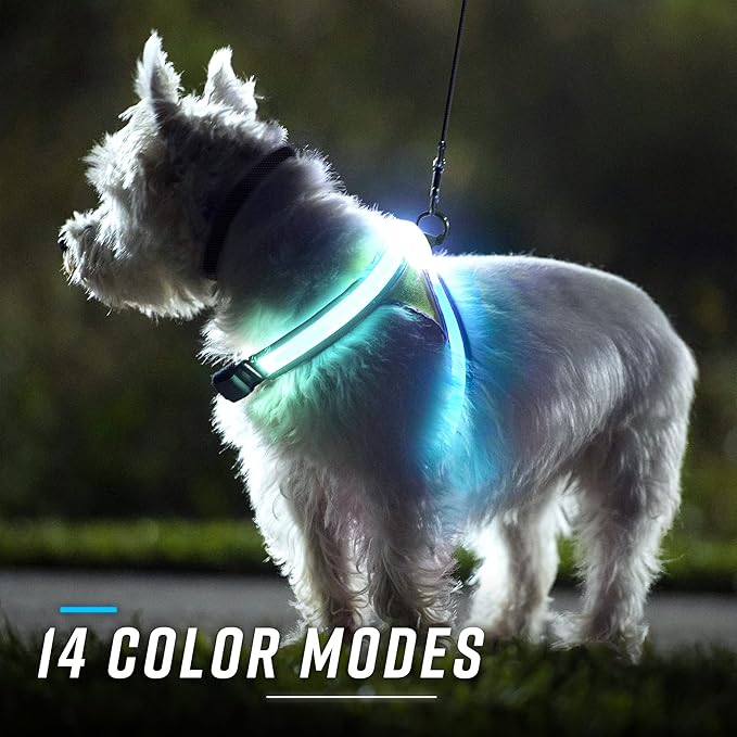 Noxgear LightHound ??Revolutionary Illuminated and Reflective Harness for Dogs Including