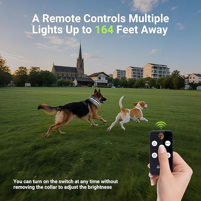 Light Up Dog Collar,Rechargeable Waterproof Led Dog Collar with Remote,Glow in Dark for Night