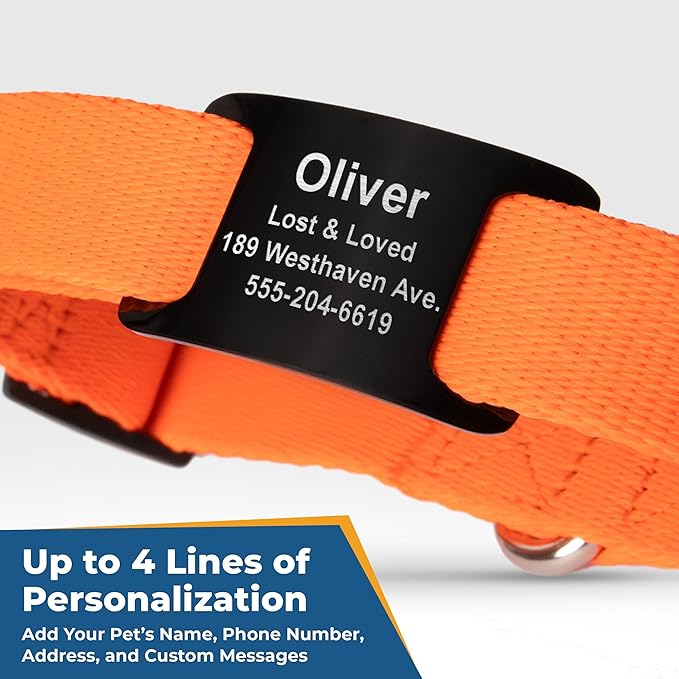 GoTags Personalized Dog Collar with Nameplate, Adjustable Dog Collar with Custom Engraved Slide On