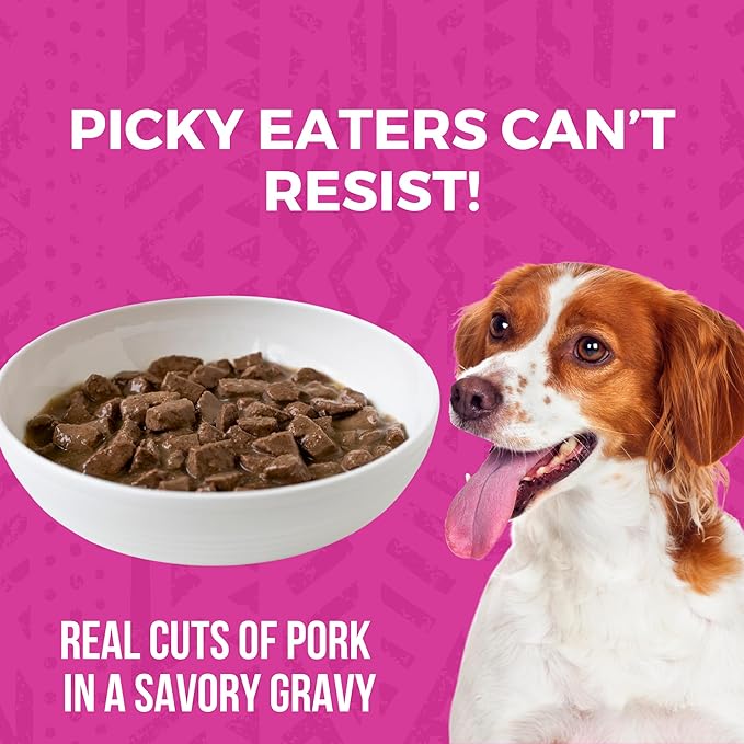 KOHA Minimal Ingredient Pork Stew for Dogs, High Protein Limited Ingredient Dog Food, 12.7oz Cans
