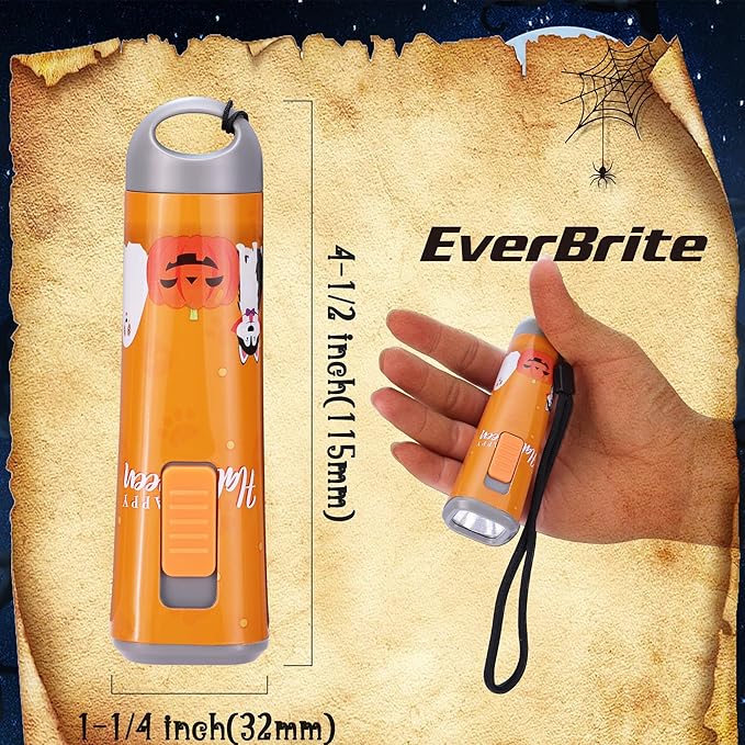 EverBrite 6-Pack LED Flashlights Halloween Gifts, Mini Flash Lights Handheld Torch with Lanyard, 18