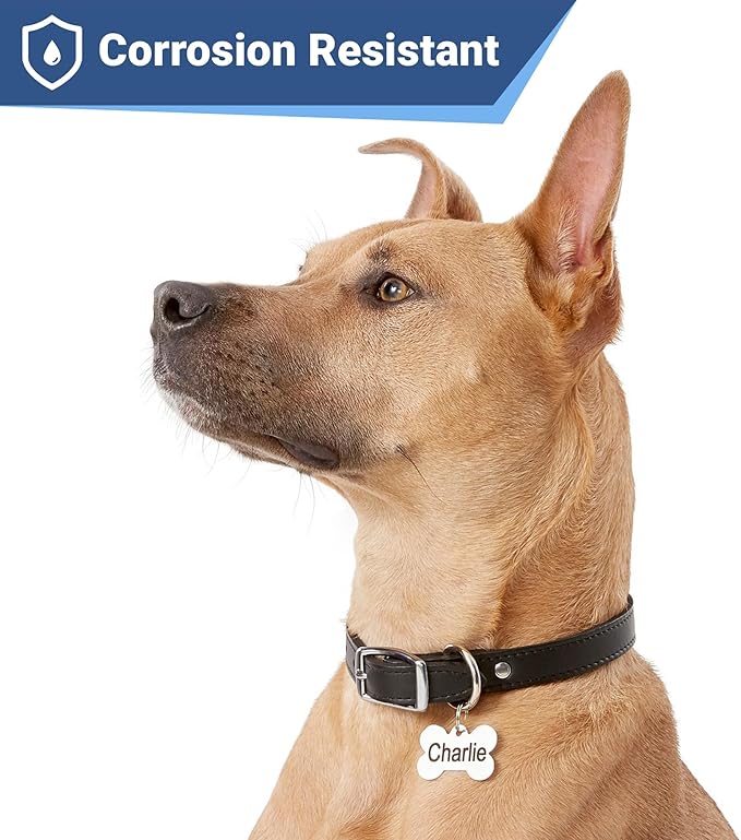 GoTags Stainless Steel Pet ID Tags, Personalized Dog Tags and Cat Tags, up to 8 Lines of Custom