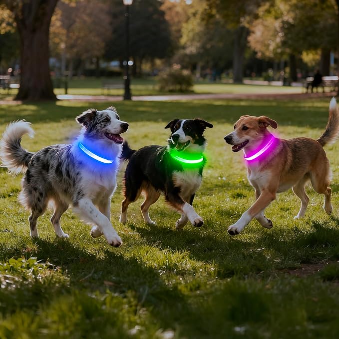 Vizpet LED Dog Collar, Light Up Dog Collar Adjustable USB Rechargeable Super Bright Safety Light