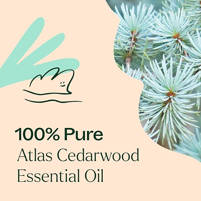 Plant Therapy Organic Atlas Cedarwood Essential Oil 100% Pure, USDA Certified Organic, Undiluted