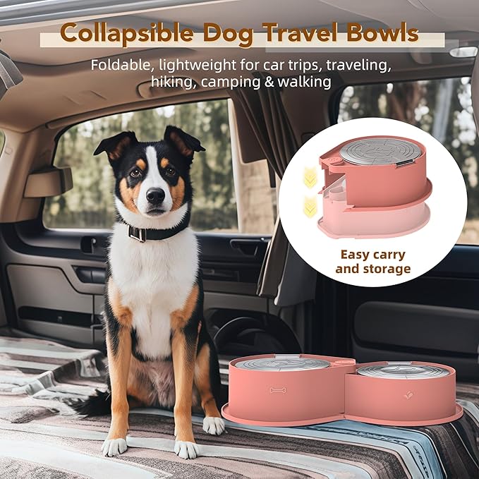 Stainless Steel Dog Bowl Set with Lids, 304 Metal Dual Food & Water Bowls for Dogs & Cats, Large