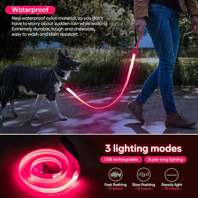 LED Dog Leash, Light Up Dog Leash 4 Ft USB Rechargeable Waterproof, Nylon Reflective Leashes with