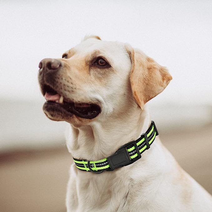 Mile High Life Reflective Dog Collar | Nylon Pet Collars wiith Buckle | Light Weight Puppy Collars