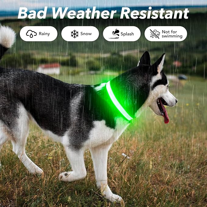 Visinite Light Up Dog Collar, Reflective LED Dog Collar, Adjustable Lighted Dog Collars