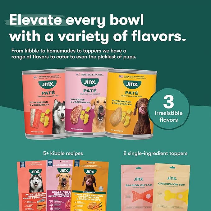 Jinx Premium Wet Dog Food Cans - Salmon Pate - Grain-Free Canned Dog Food Pate & Topper with Real