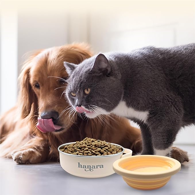 HANARA 2-in-1 Insulated Dog Bowl with Collapsible Lid & Handle ??Stainless Steel, Non-Slip Rubber
