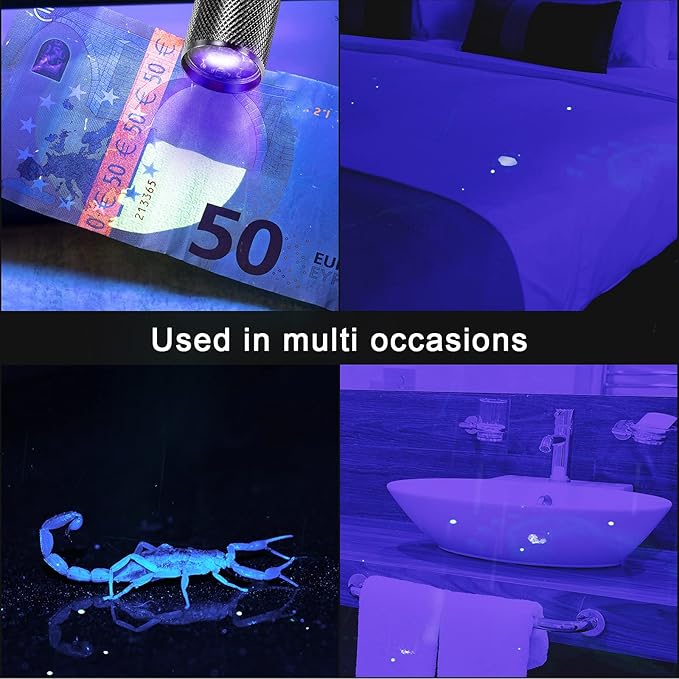 Roceei 10 Pieces UV Blacklight Flashlights, LED Light, Handheld, Mini Light Torch Detector