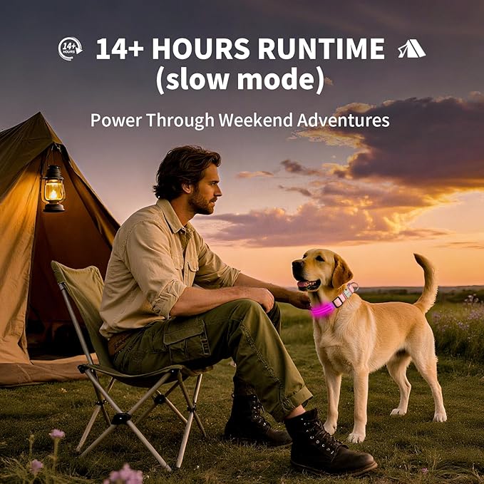 LED Dog Collar with Metal Buckle - USB Rechargeable Glow Collar for Dogs, Waterproof Light Up Dog